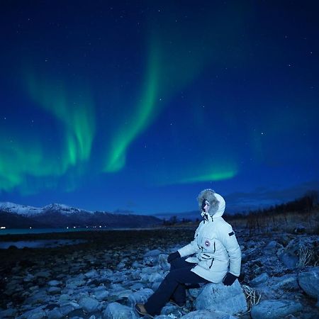 Arctic Rooms Rektor 特罗姆瑟 外观 照片
